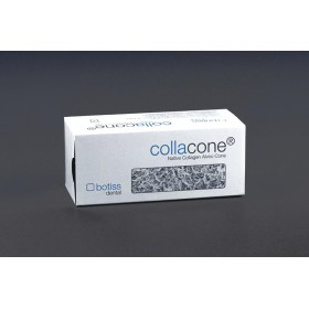 Collacone Alveo Cone Φυσικός Κώνος Κολλαγόνου