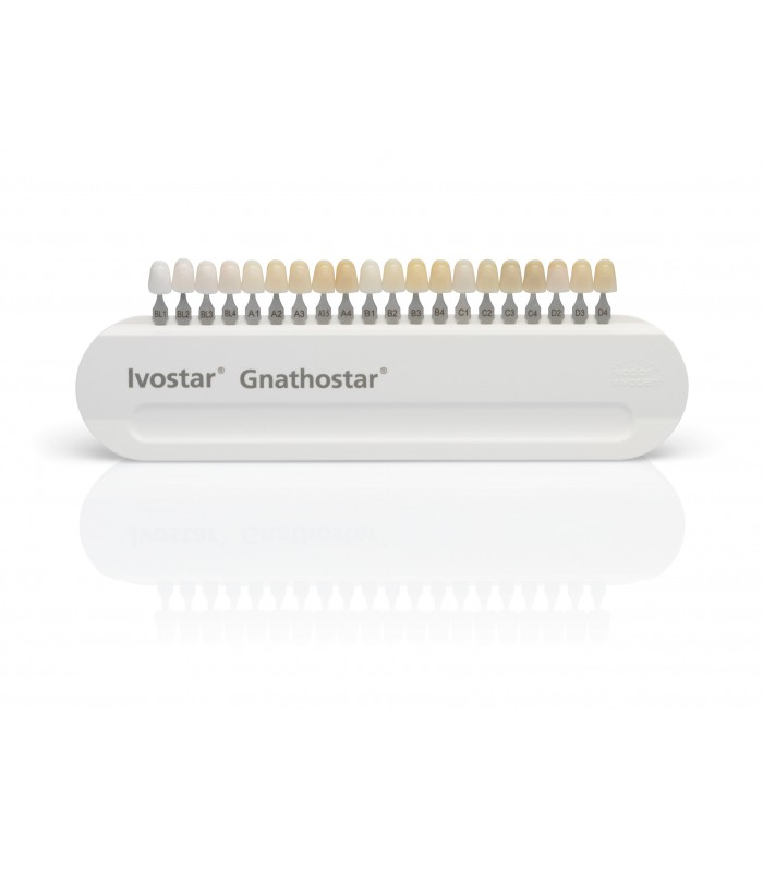 Gnathostar Οπίσθια Δόντια