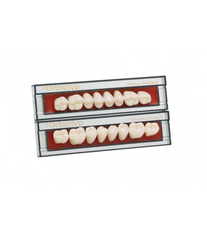 SR Orthotyp  Οπίσθια Δόντια